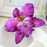 Lilla orkide hårclips